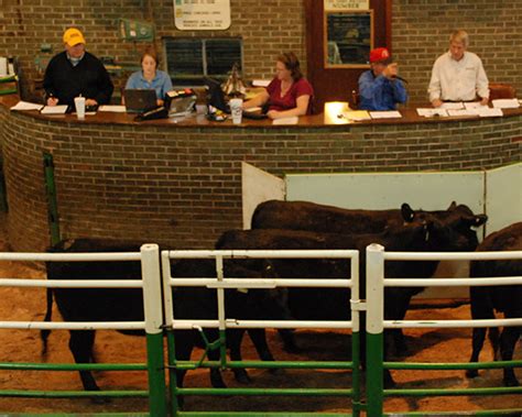 Fruitland livestock auction mo. Things To Know About Fruitland livestock auction mo. 